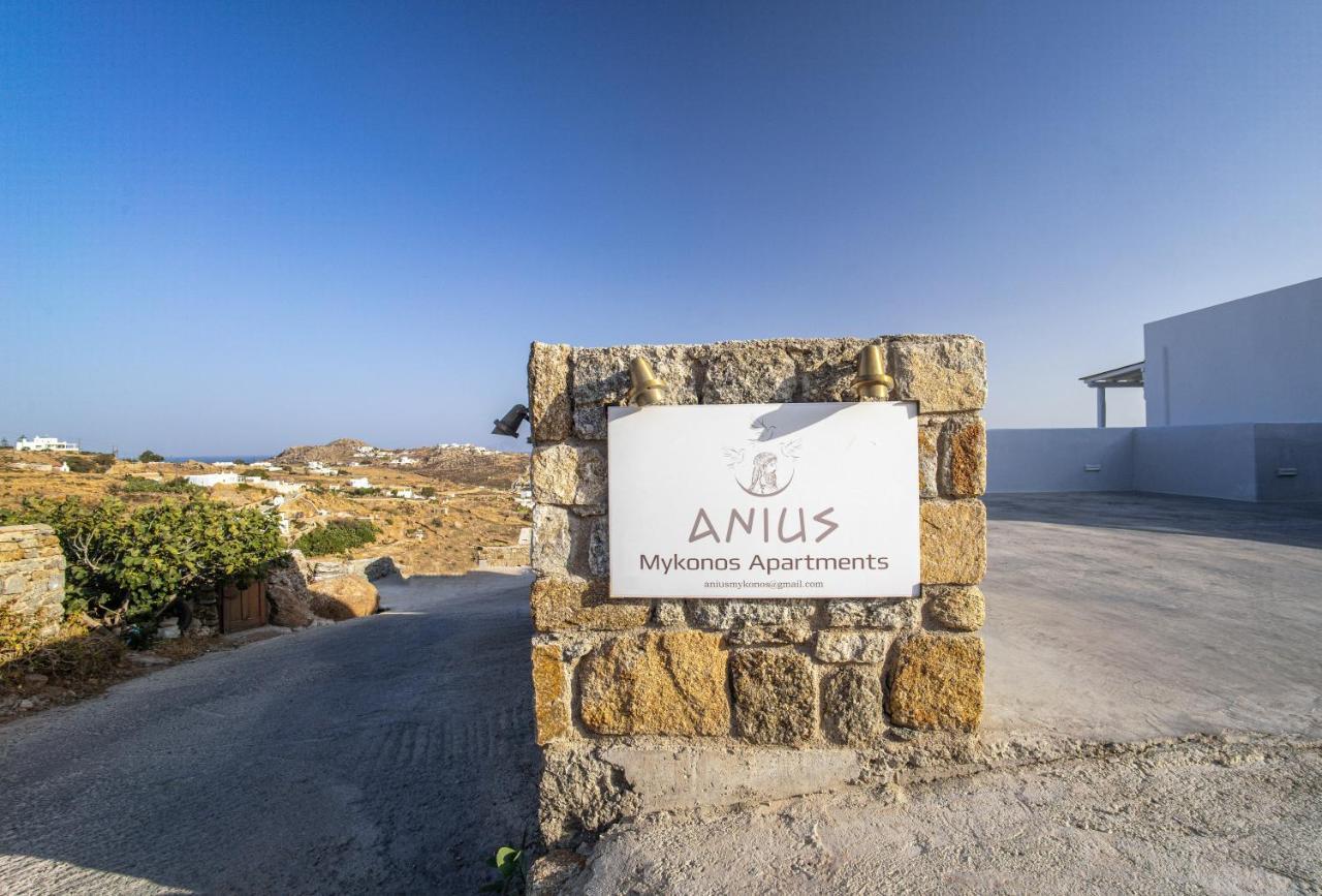 Anius Apartments Mykonos Town Buitenkant foto